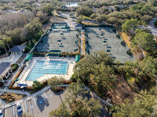 10208 THICKET POINT WAY, Tampa, FL 33647