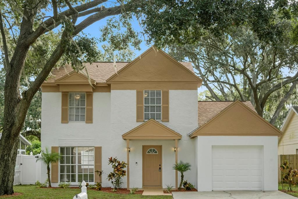 4643 CABBAGE PALM DRIVE, Valrico, FL 33596