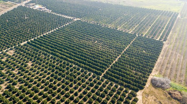 86 Avenue, Terra Bella, CA 93270