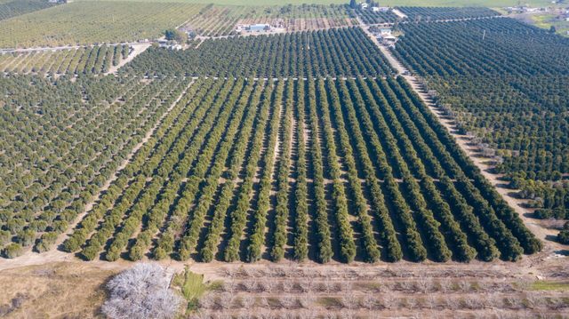 86 Avenue, Terra Bella, CA 93270