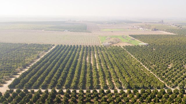 86 Avenue, Terra Bella, CA 93270