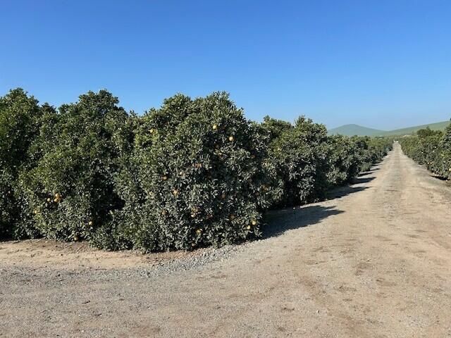 86 Avenue, Terra Bella, CA 93270