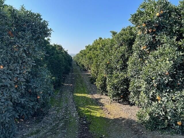 86 Avenue, Terra Bella, CA 93270