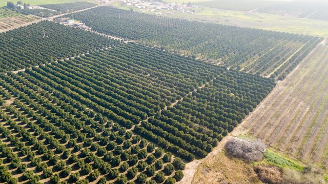 86 Avenue, Terra Bella, CA 93270