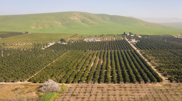 86 Avenue, Terra Bella, CA 93270