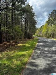 2140 GLOVERS BEND ROAD, Gardendale, AL 35071