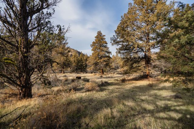 9745 NW Placer Lane, Terrebonne, OR 97760