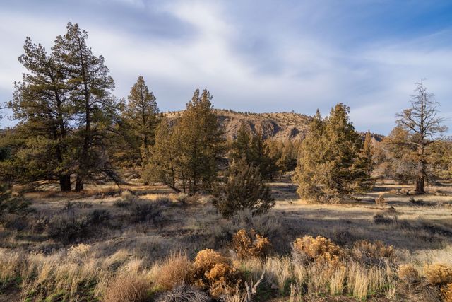 9745 NW Placer Lane, Terrebonne, OR 97760