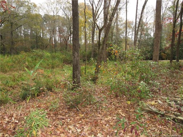 85 Country Walk Lane, Sanford, NC 27332