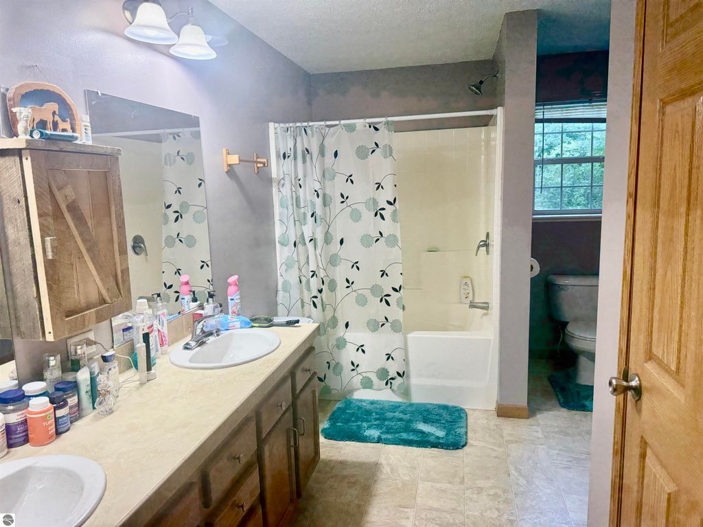 Image 40 of property listing at 587 N Lewis, Shepherd, MI 48883