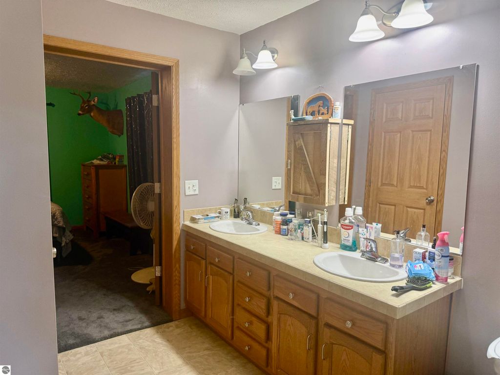 Image 42 of property listing at 587 N Lewis, Shepherd, MI 48883