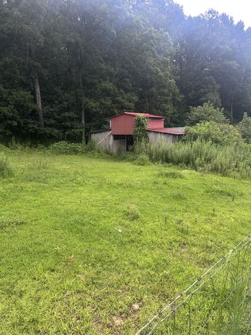 275 Paul Spears Rd, Summertown, TN 38483