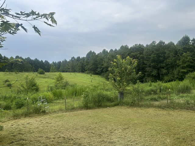 275 Paul Spears Rd, Summertown, TN 38483