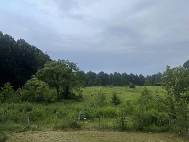 275 Paul Spears Rd, Summertown, TN 38483