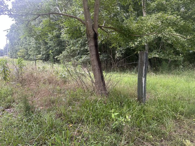 275 Paul Spears Rd, Summertown, TN 38483