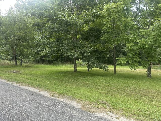 275 Paul Spears Rd, Summertown, TN 38483