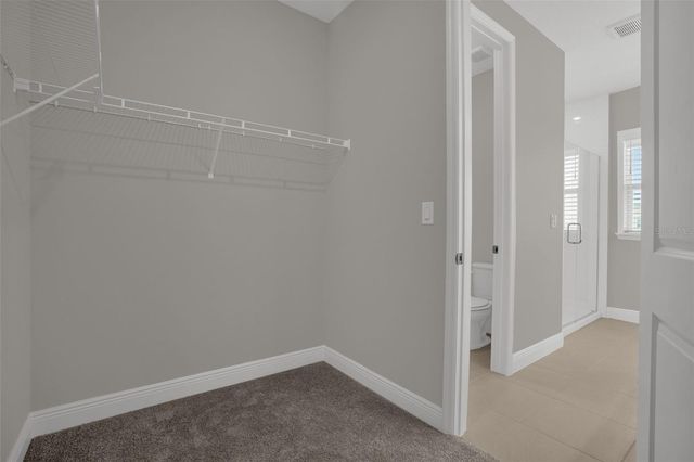 17025 HAGGERTY HOLLOW, Winter Garden, FL 34787