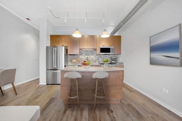 212 E Cullerton Street 700, Chicago, IL 60616