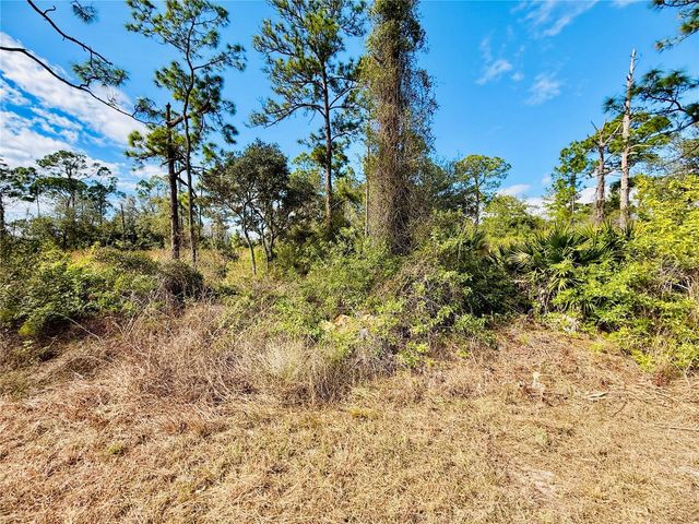 2007 TRUMAN AVENUE, Alva, FL 33920