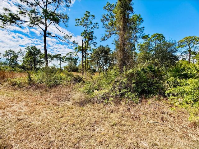 2007 TRUMAN AVENUE, Alva, FL 33920