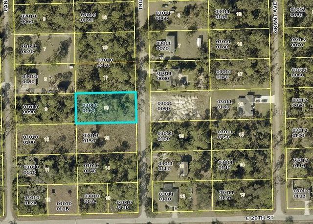 2007 TRUMAN AVENUE, Alva, FL 33920
