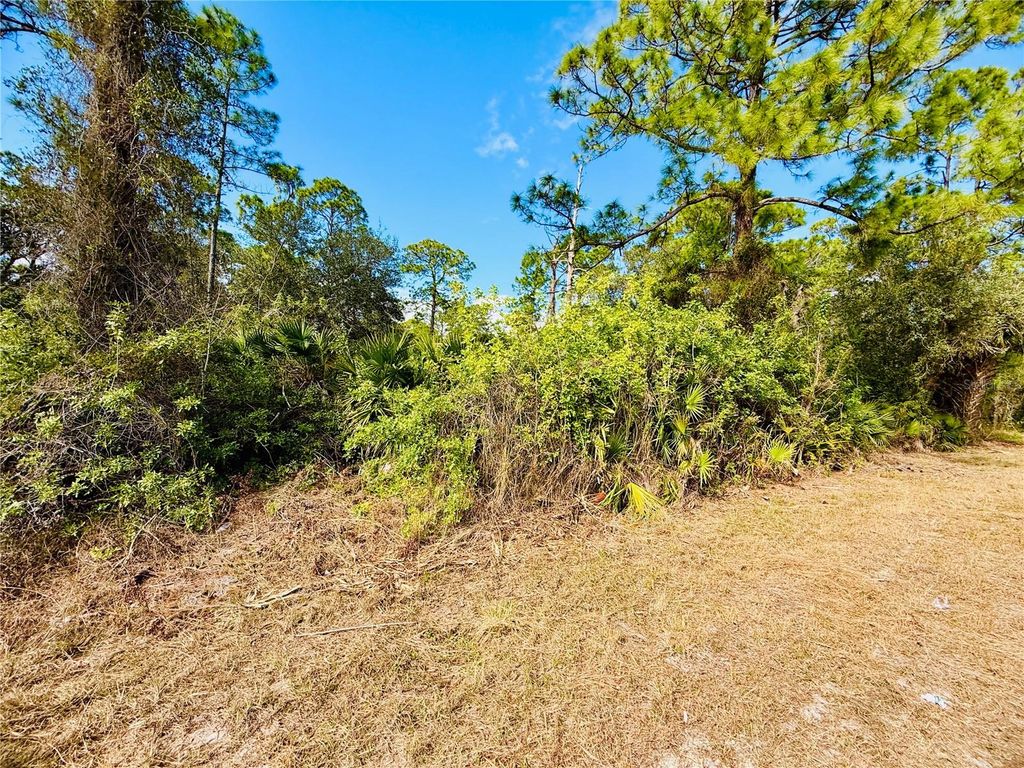 2007 TRUMAN AVENUE, Alva, FL 33920