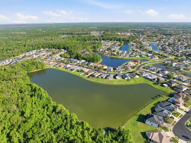 25522 BRUFORD BOULEVARD, Land O Lakes, FL 34639