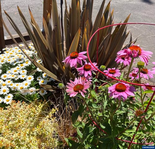 1575 Leo St NE, Keizer, OR 97303