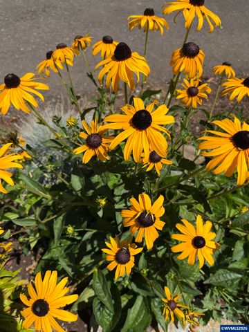 1575 Leo St NE, Keizer, OR 97303