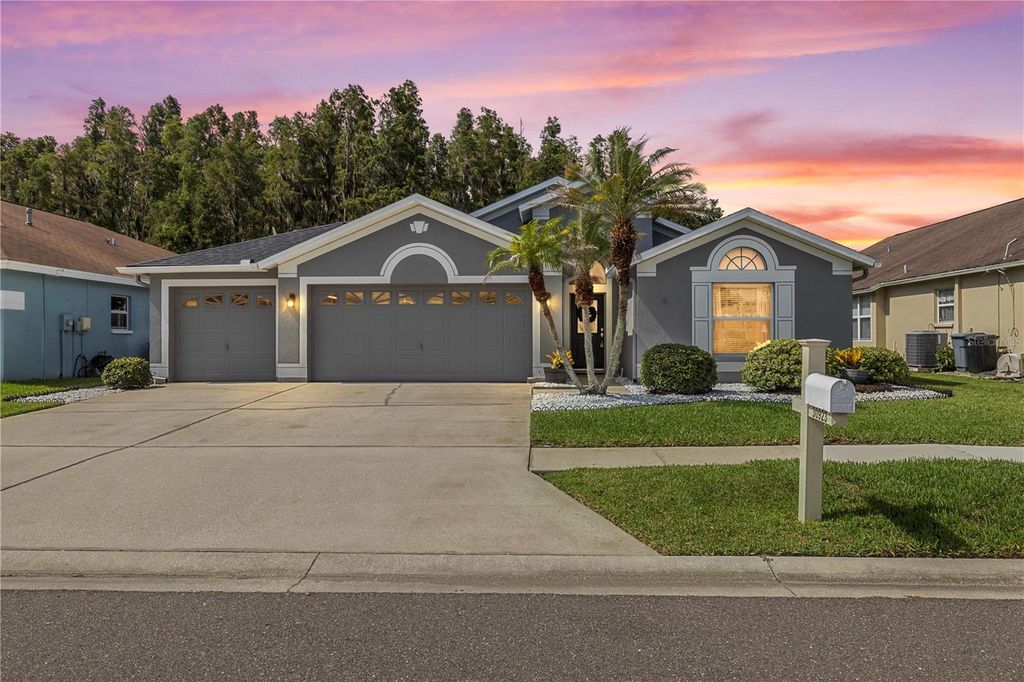 30923 IVERSON DRIVE, Wesley Chapel, FL 33543