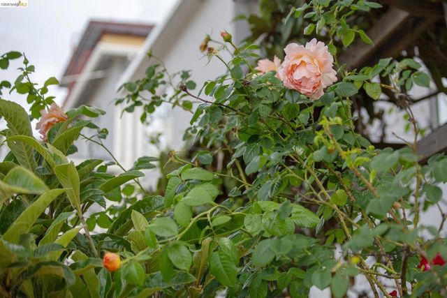 1825 Highland Pl 1825, Berkeley, CA 94709