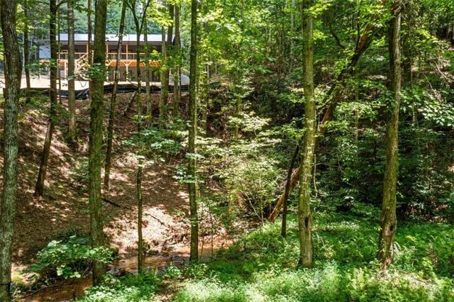 641 Bryant Farm Lane, Ellijay, GA 30540