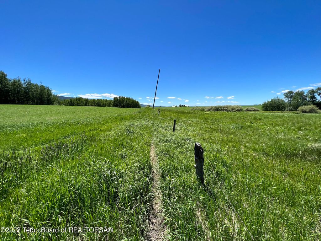 N ALTA Road, Alta, WY 83414 photo 10