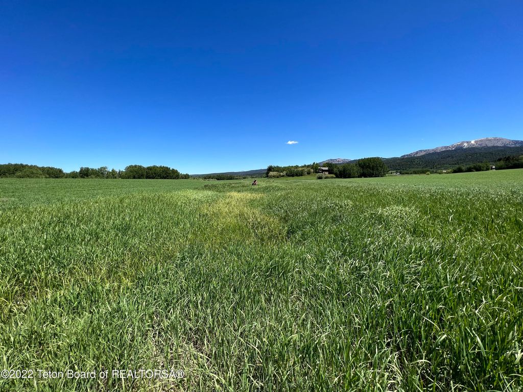 N ALTA Road, Alta, WY 83414 photo 13