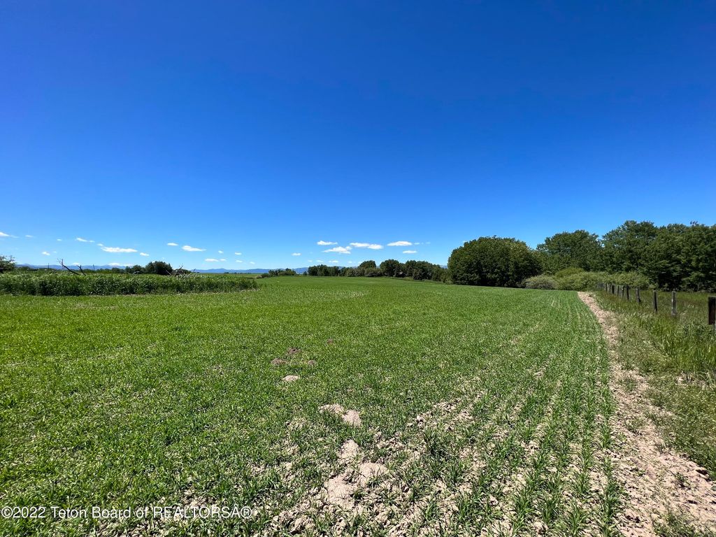 N ALTA Road, Alta, WY 83414 photo 17