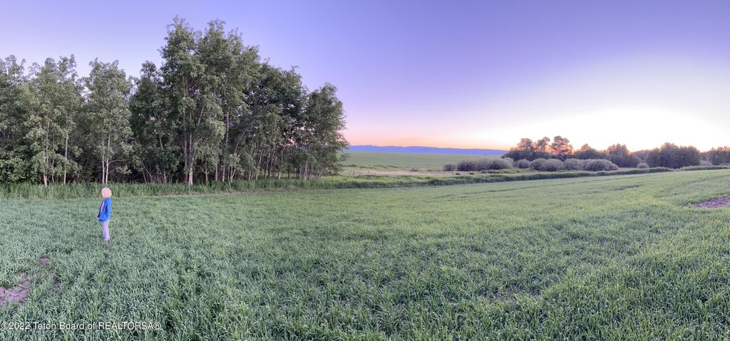 N ALTA Road, Alta, WY 83414 photo 2