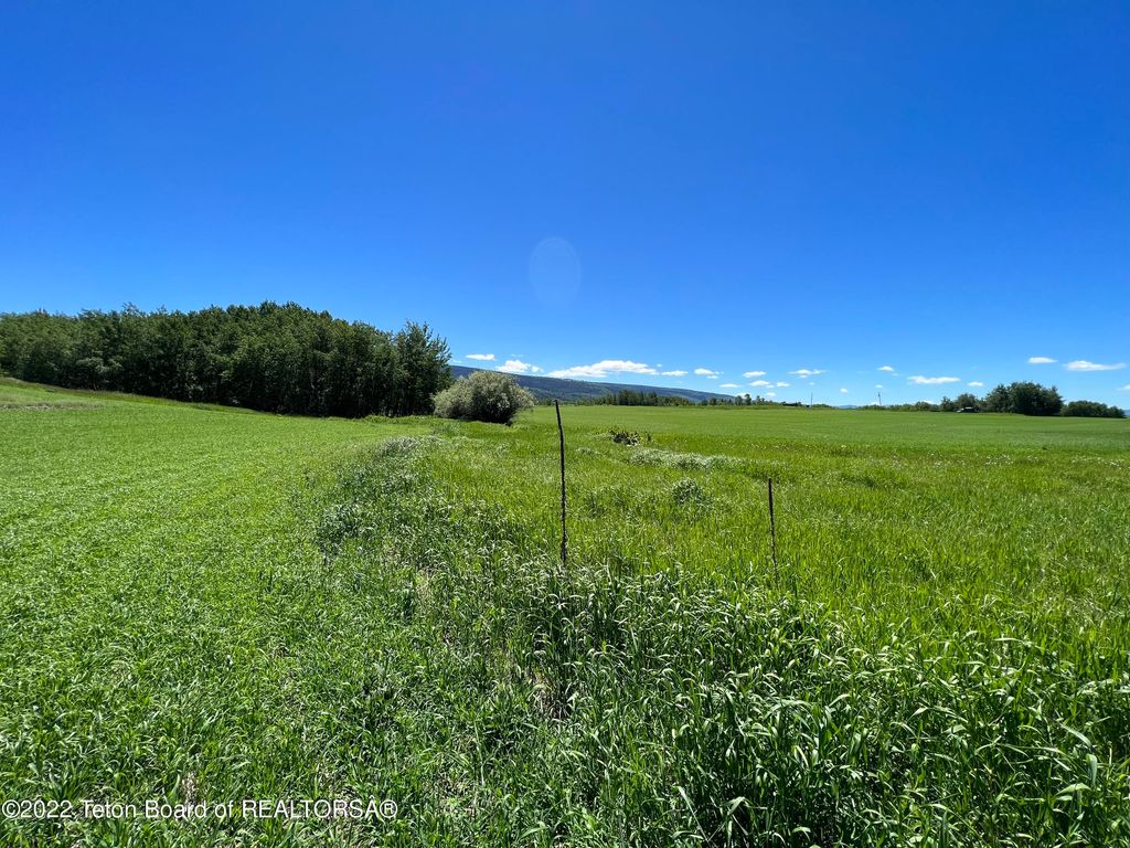 N ALTA Road, Alta, WY 83414 photo 21