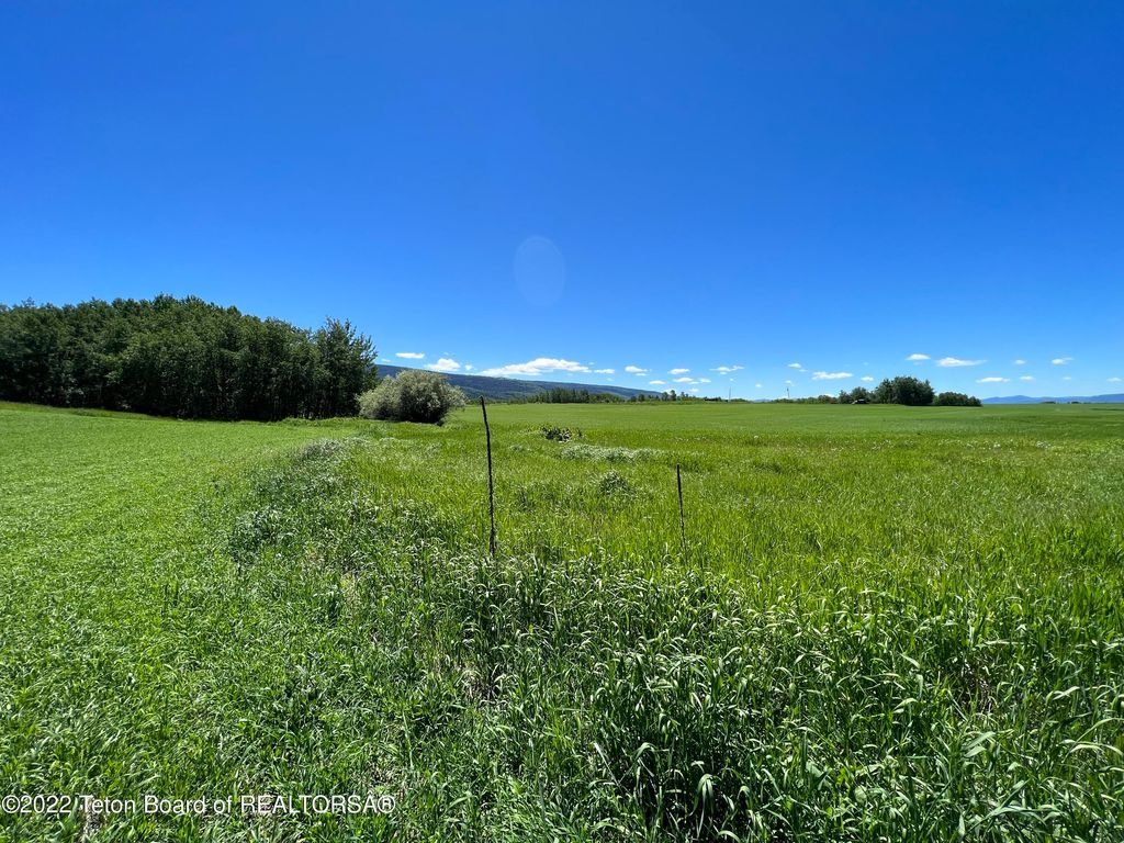 N ALTA Road, Alta, WY 83414 photo 23