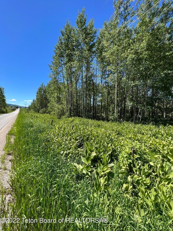 N ALTA Road, Alta, WY 83414 photo 26