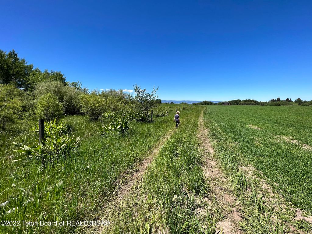 N ALTA Road, Alta, WY 83414 photo 28