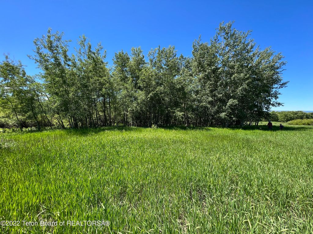 N ALTA Road, Alta, WY 83414 photo 29