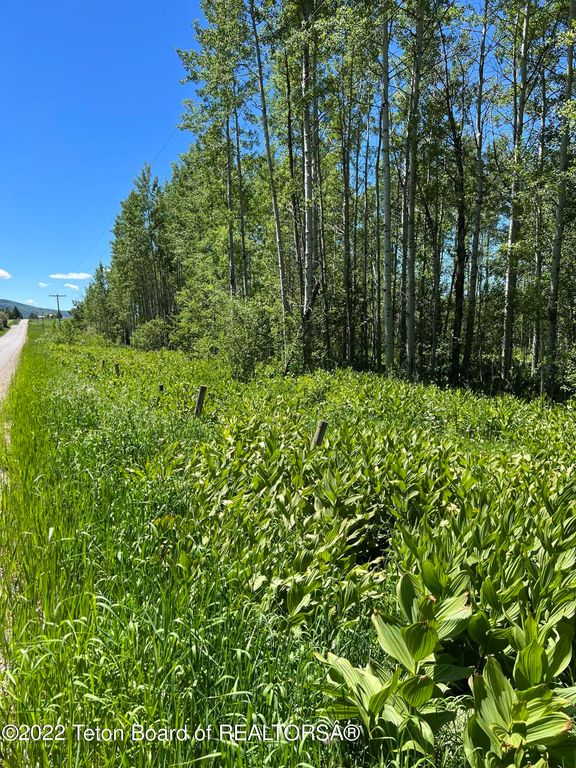 N ALTA Road, Alta, WY 83414 photo 30