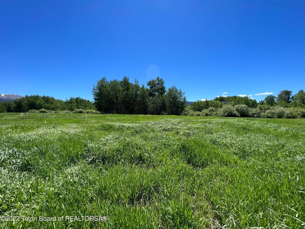 N ALTA Road, Alta, WY 83414 photo 33