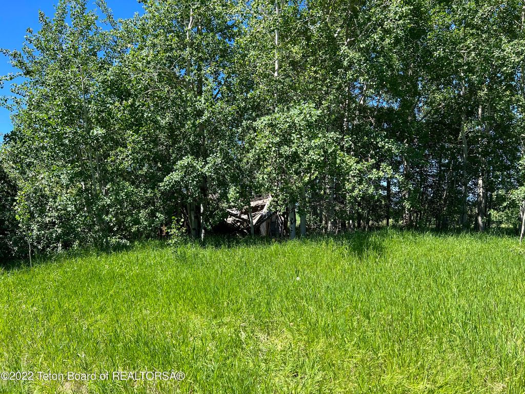 N ALTA Road, Alta, WY 83414 photo 36