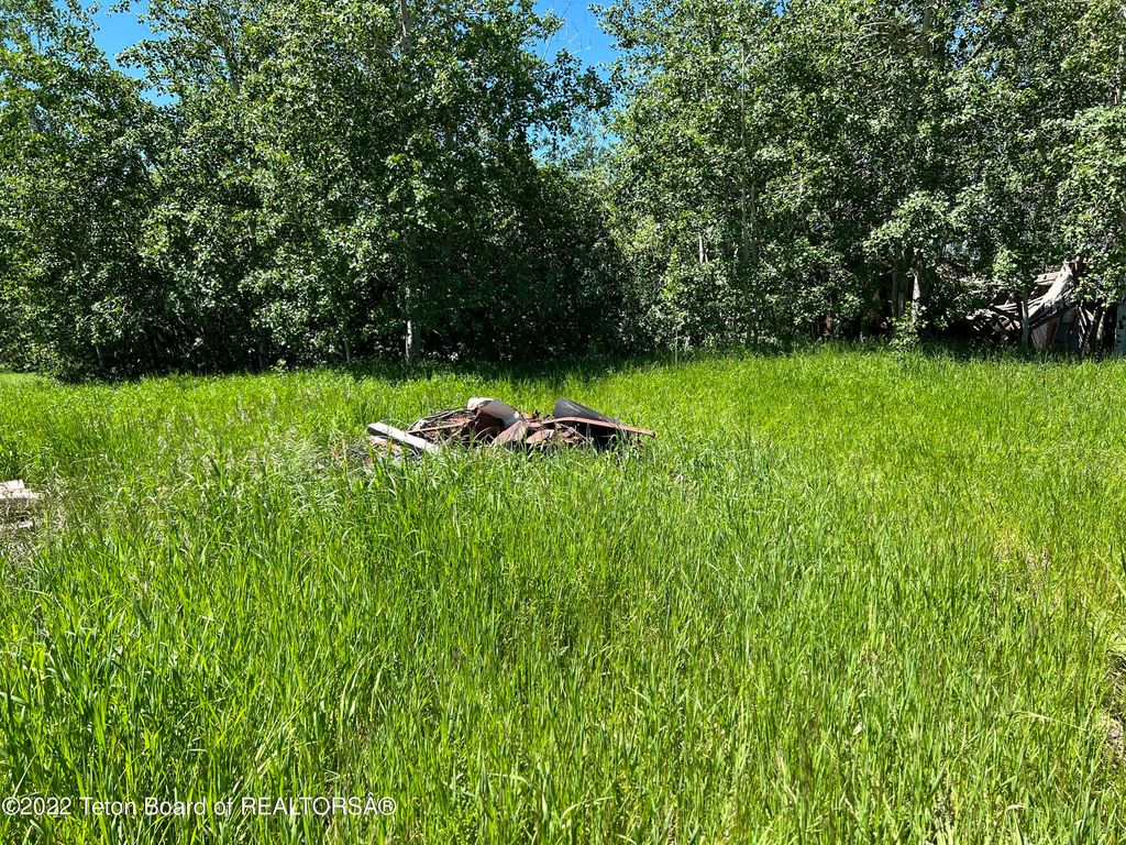 N ALTA Road, Alta, WY 83414 photo 43