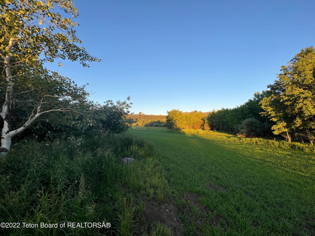 N ALTA Road, Alta, WY 83414 photo 49