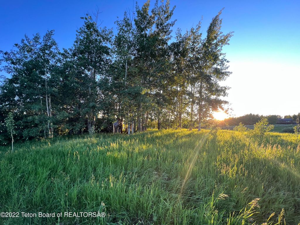 N ALTA Road, Alta, WY 83414 photo 57