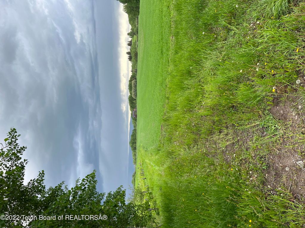 N ALTA Road, Alta, WY 83414 photo 63