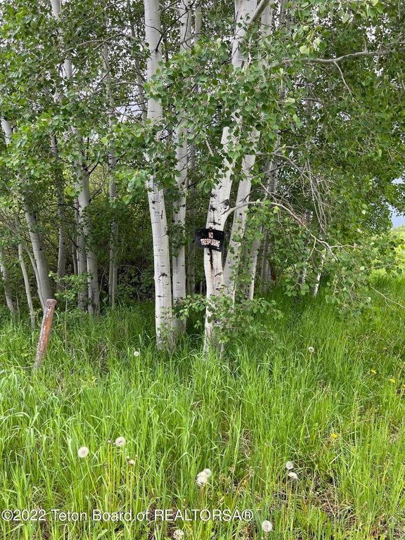 N ALTA Road, Alta, WY 83414 photo 67