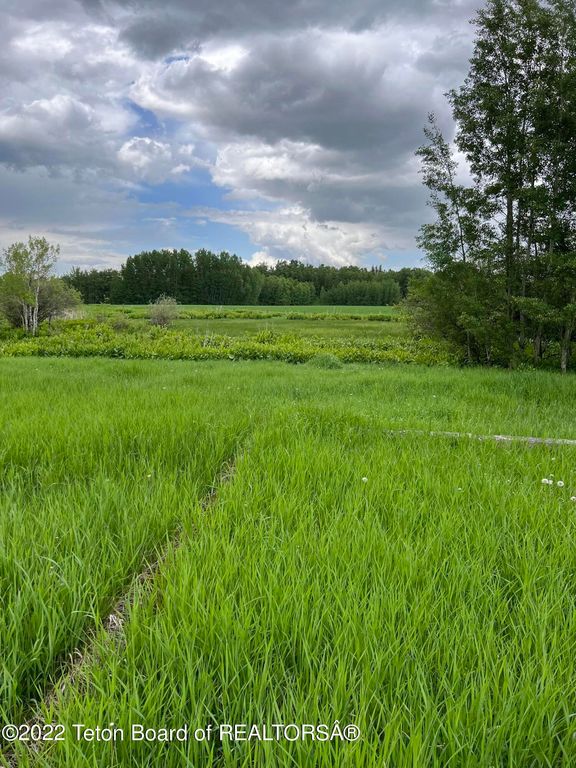 N ALTA Road, Alta, WY 83414 photo 70